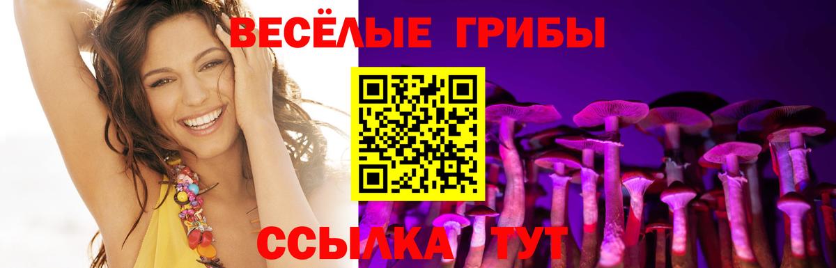 Галлюциногенные грибы прущие грибы Кандалакша