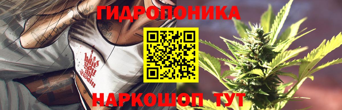 Каннабис план Кандалакша